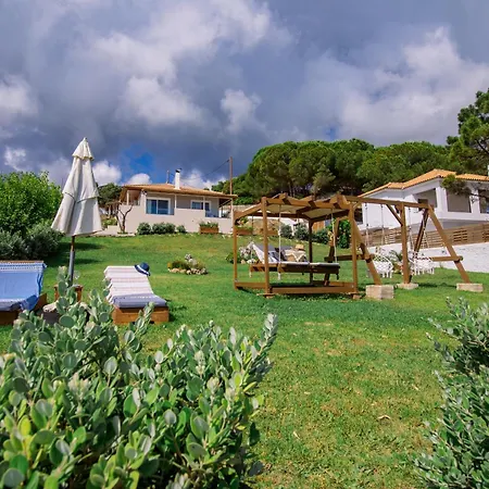 Angelina Villa